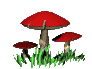 funghi images-animate-gif